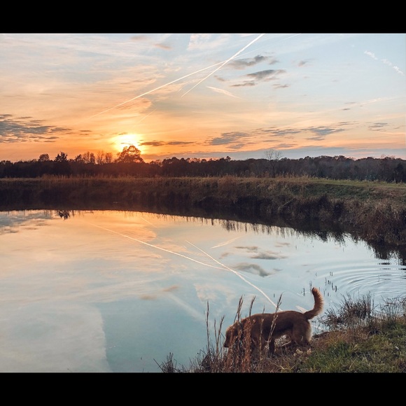 hello 👋🏼 - Picture 1 of 1